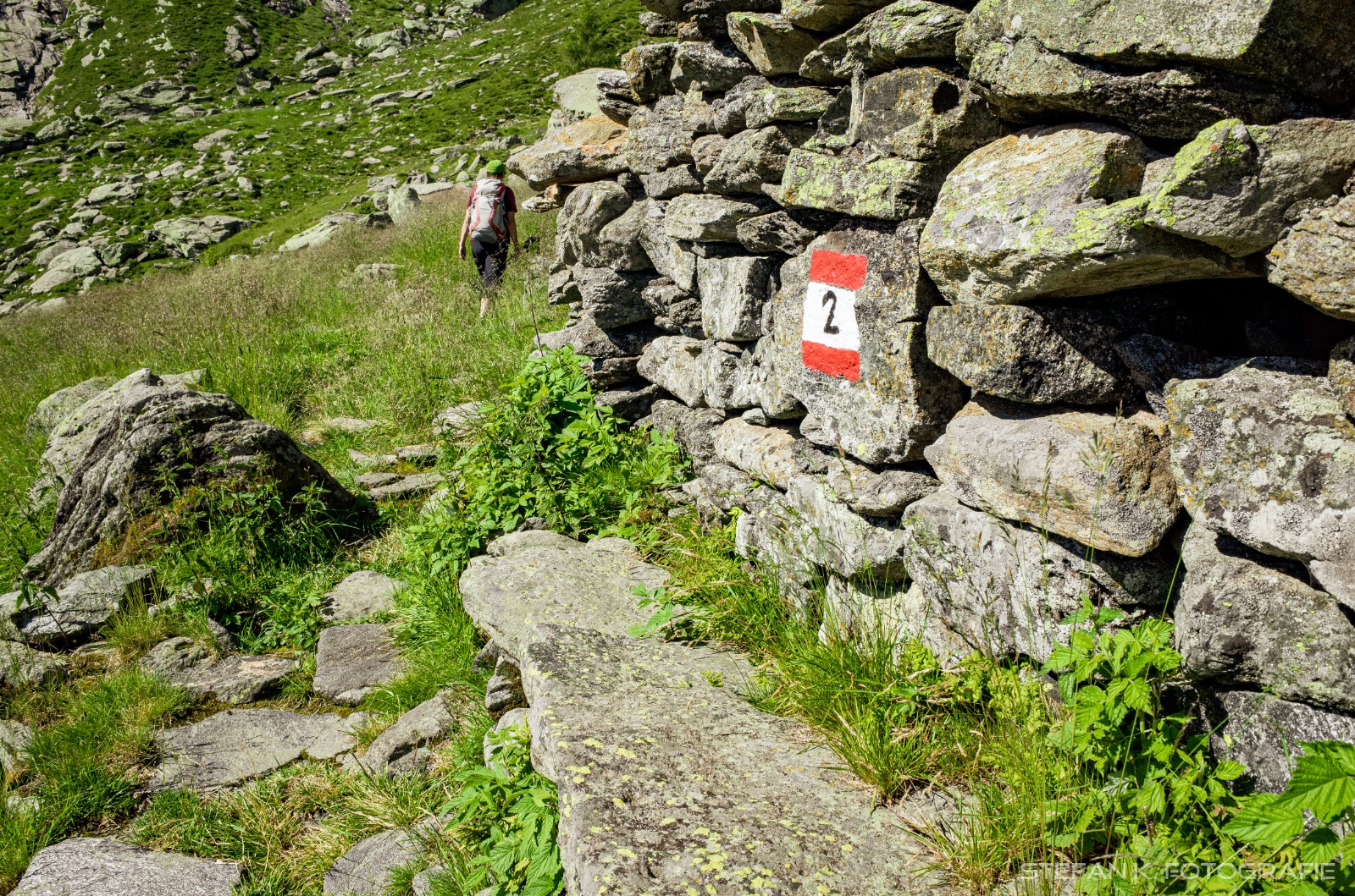 Auf dem richtigen Weg